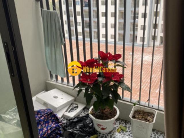 Căn hộ cho thuê tại Bắc Ninh