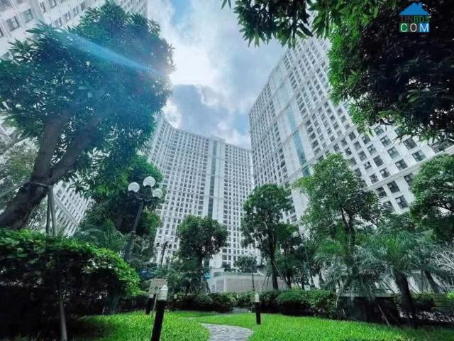 Căn hộ cho thuê tại Hoàn Kiếm, Hà Nội