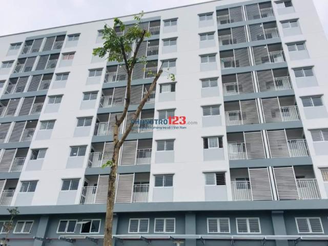 Bất động sản cho thuê tại Hồ Chí Minh