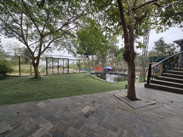 Bất động sản cho thuê tại Hà Nội