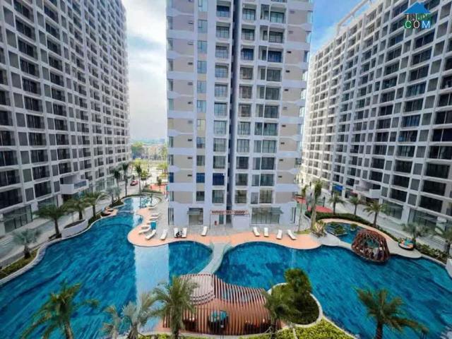 Căn hộ cho thuê tại Thủ Đức, Hồ Chí Minh