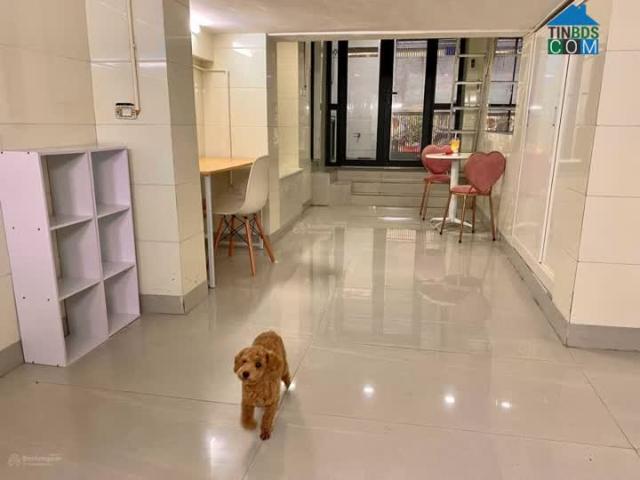 Căn hộ cho thuê tại Hoàn Kiếm, Hà Nội
