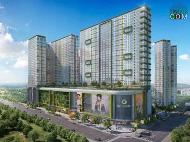 Căn hộ cho thuê tại Thủ Đức, Hồ Chí Minh