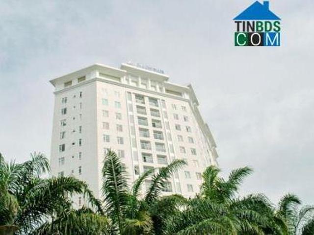 Căn hộ cho thuê tại Thủ Đức, Hồ Chí Minh