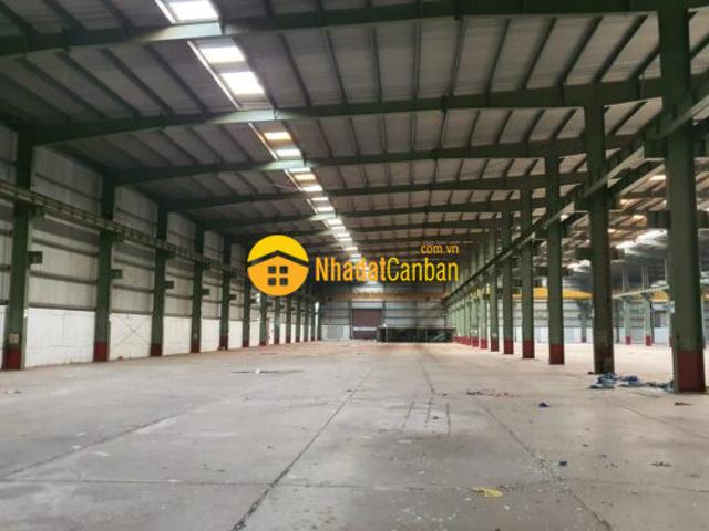 Kho xưởng cho thuê