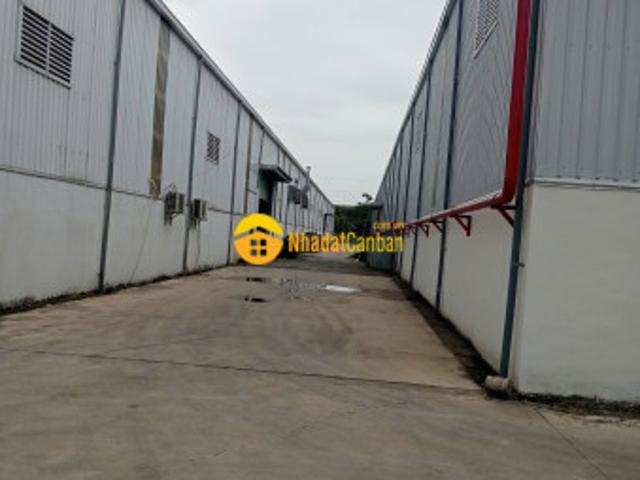 Kho xưởng cho thuê