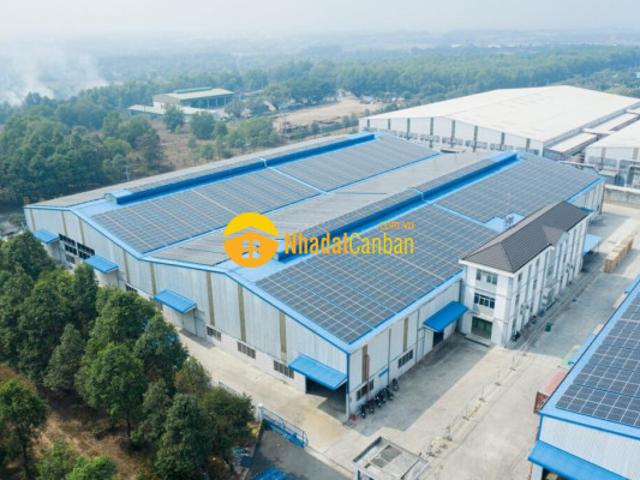 Kho xưởng cho thuê