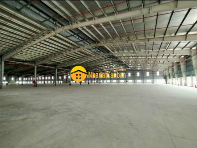 Kho xưởng cho thuê