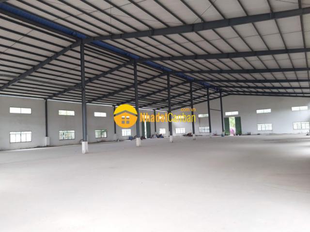 Kho xưởng cho thuê