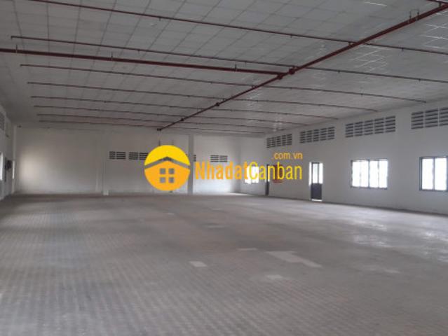 Kho xưởng cho thuê