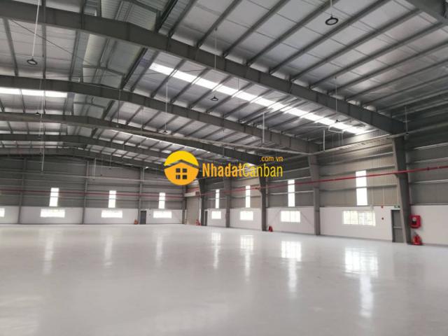 Kho xưởng cho thuê