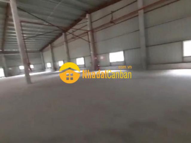 Kho xưởng cho thuê