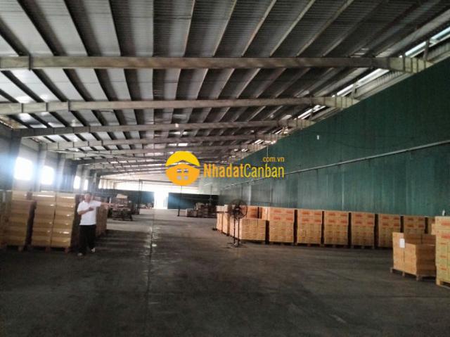 Kho xưởng cho thuê
