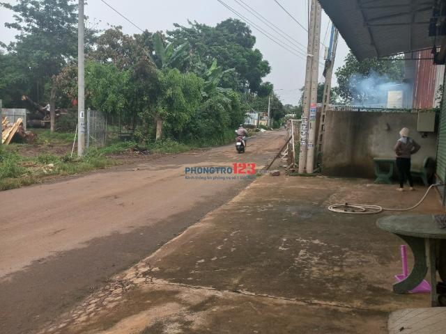 Bất động sản cho thuê tại Đồng Nai