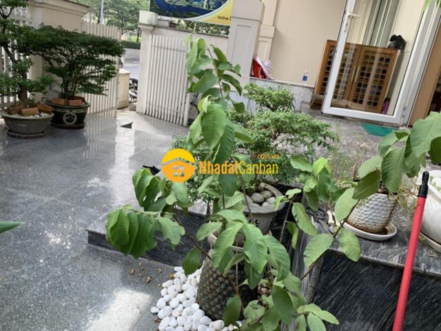 Nhà mặt phố cho thuê