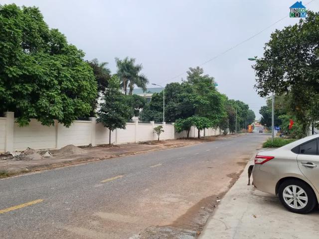 Nhà cho thuê