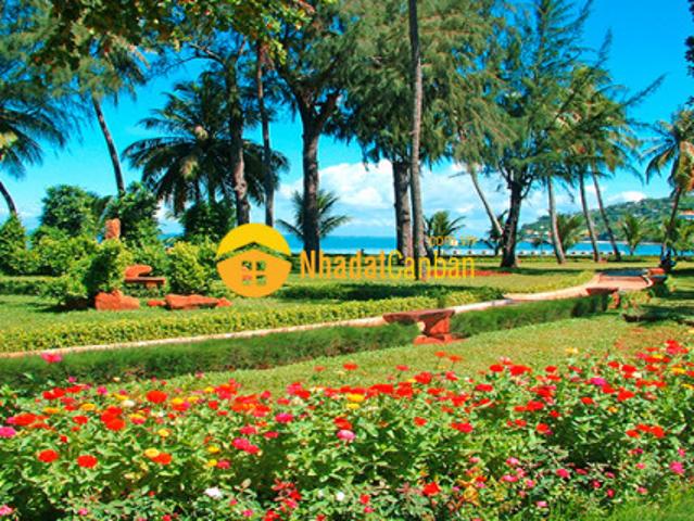 Nhà mặt phố cho thuê