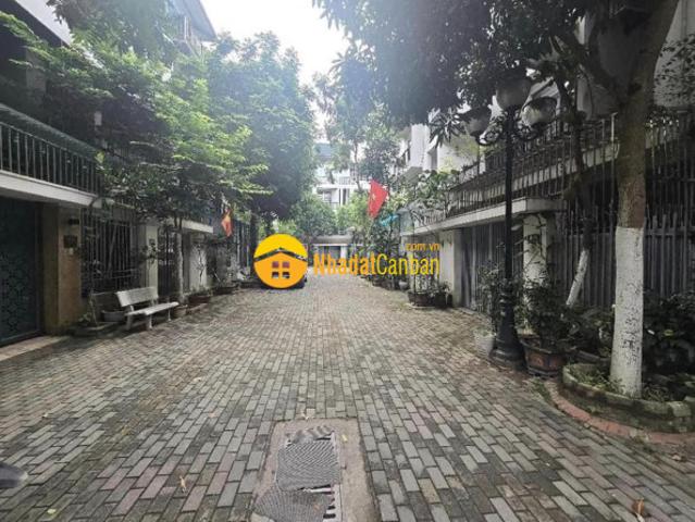 Nhà cho thuê