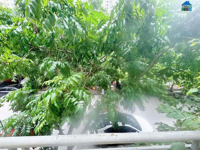 Nhà mặt phố cho thuê tại Hoàn Kiếm, Hà Nội