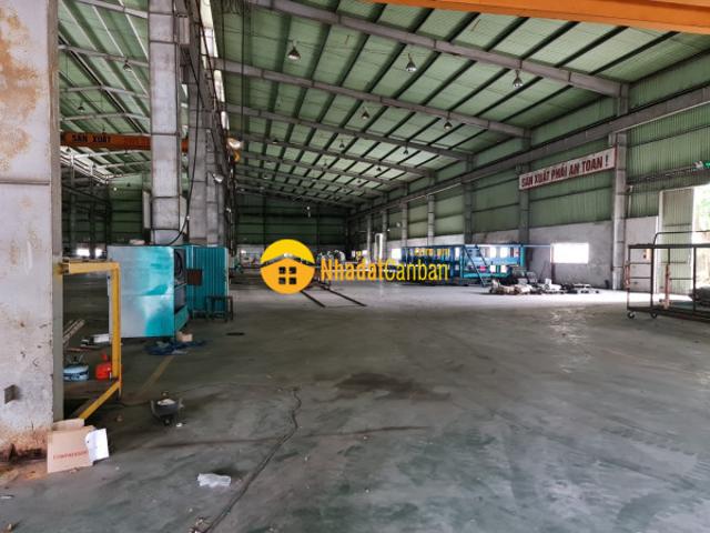 Kho xưởng cho thuê