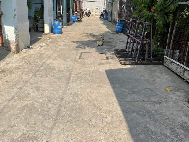 Bất động sản cho thuê tại Gia Lai