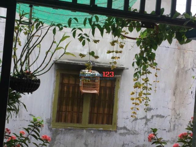 Bất động sản cho thuê tại Gia Lai