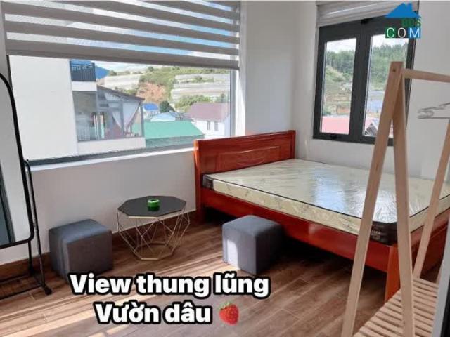 Nhà cho thuê