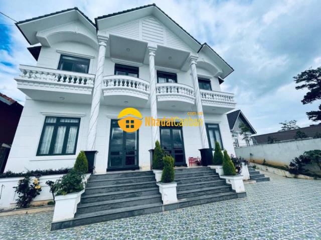 Nhà mặt phố cho thuê