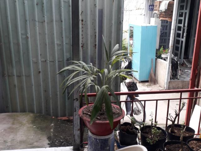 Bất động sản cho thuê tại Hồ Chí Minh