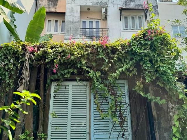 Bất động sản cho thuê tại Khu phố 11, Thành phố Hồ Chí Minh
