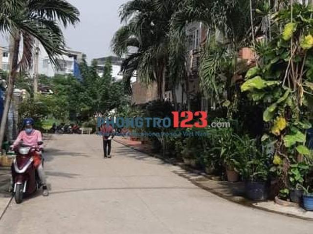 Bất động sản cho thuê tại Hồ Chí Minh