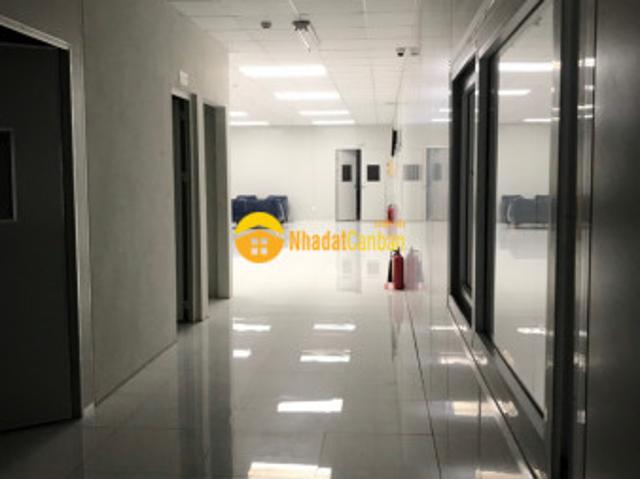 Kho xưởng cho thuê