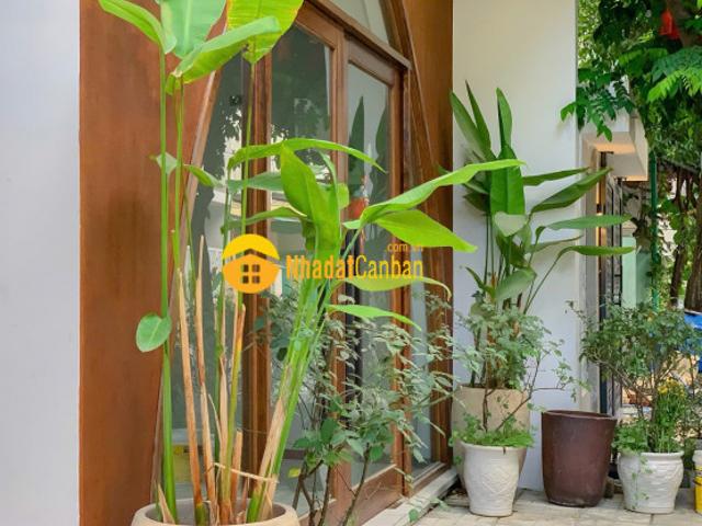 Nhà mặt phố cho thuê