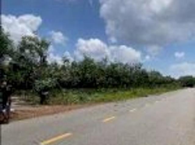 Bất động sản bán tại Gia Lai
