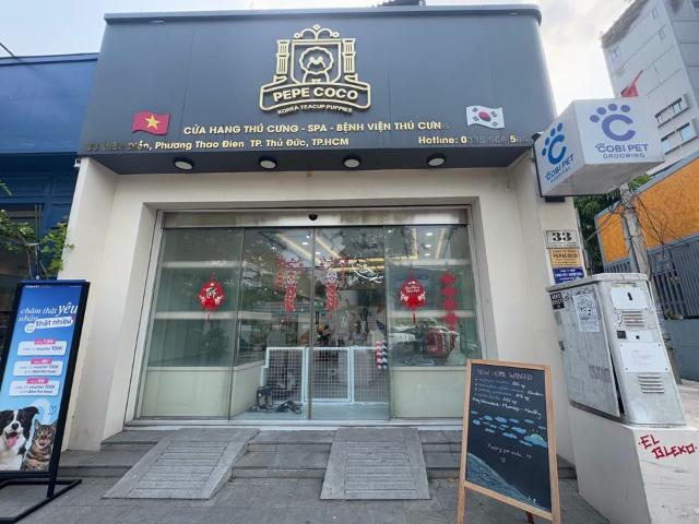 Bất động sản cho thuê tại Khu phố 11, Thành phố Hồ Chí Minh