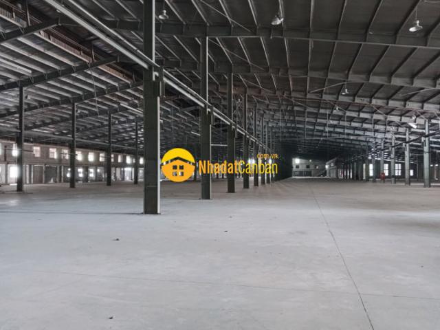 Kho xưởng cho thuê