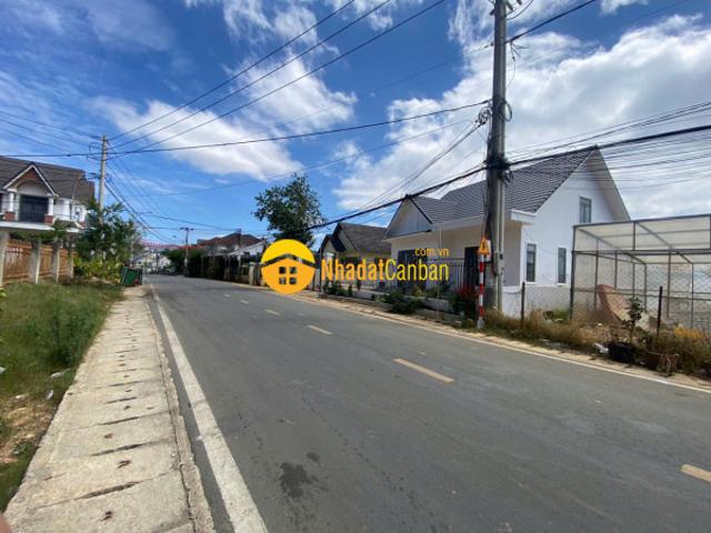Biệt Thự cho thuê