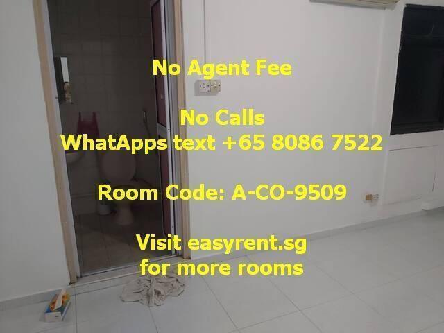 Room for rent