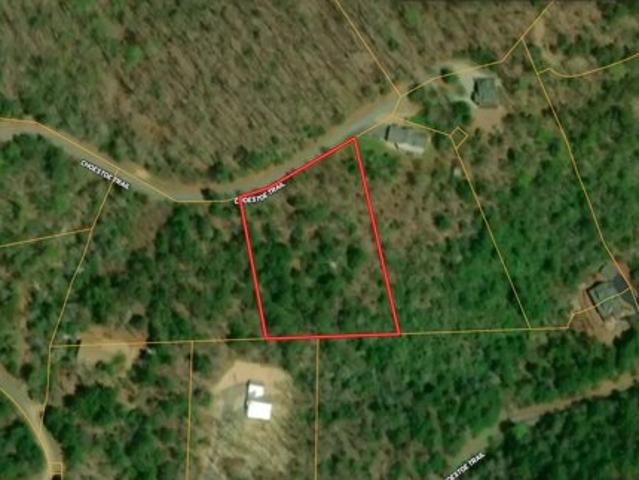 Land for sale in Blairsville