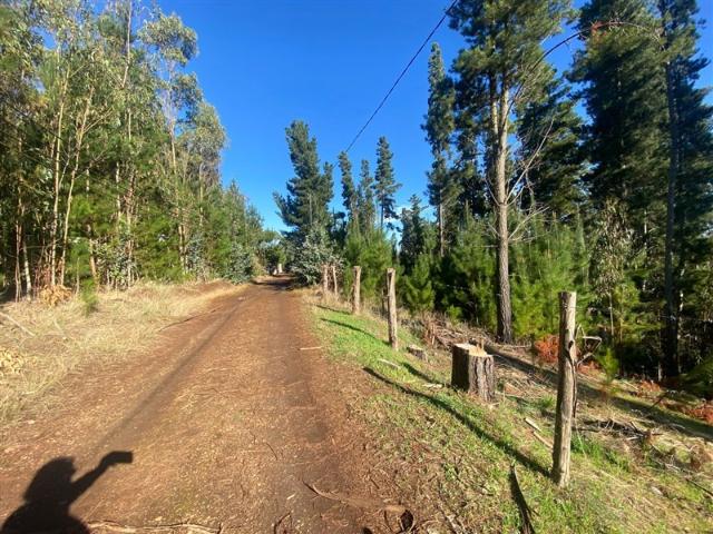 Terreno en venta en Curacautín, La Araucanía