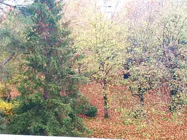Appartement vente à Cholet
