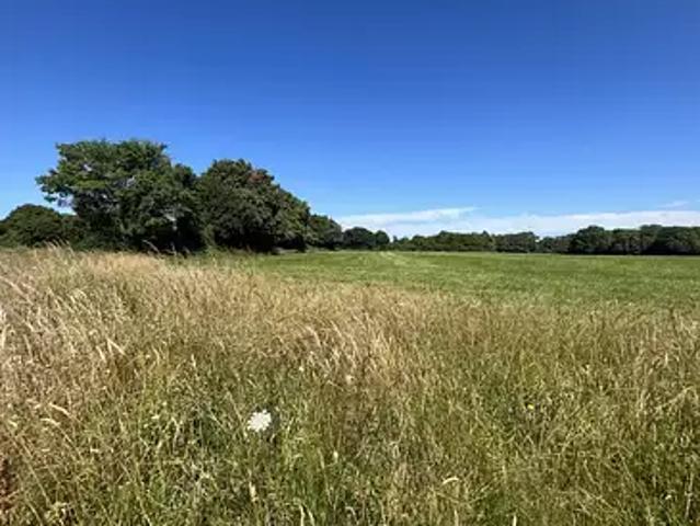 Terrain vente à Cholet