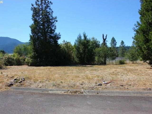 Land for sale in Willamette City, Oakridge