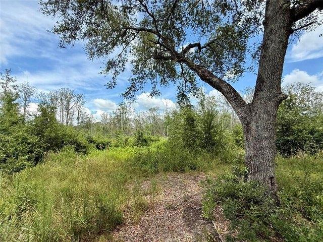 Land for sale in Grand Bay, Mobile County