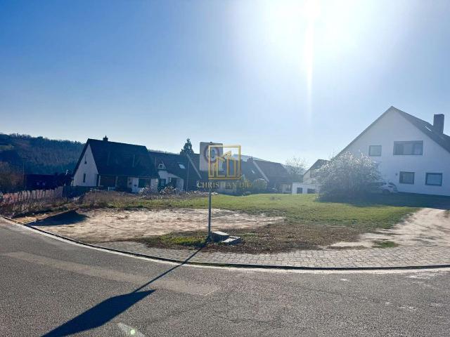 Erdgeschosswohnung kaufen in Neuleiningen, Landkreis Bad Dürkheim