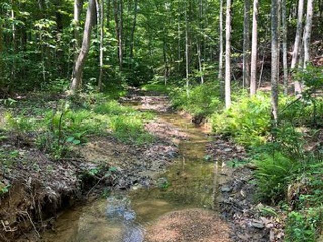 Land for sale in Virginia