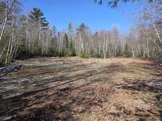 Land for sale in Ellsworth, Hancock County