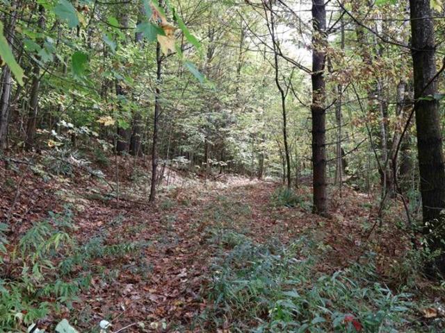 Land for sale in Plantsville, Vermont