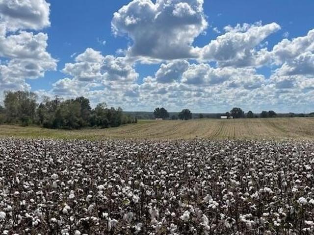 Farm for sale in Tennessee