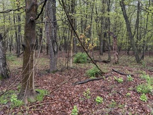 Land for sale in South Haven, Michigan